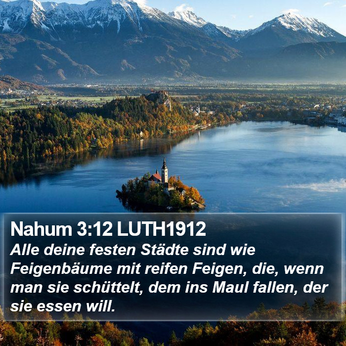 Nahum 3:12 LUTH1912 Bible Study