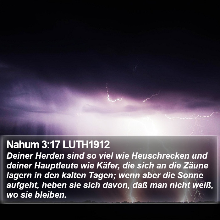 Nahum 3:17 LUTH1912 Bible Study