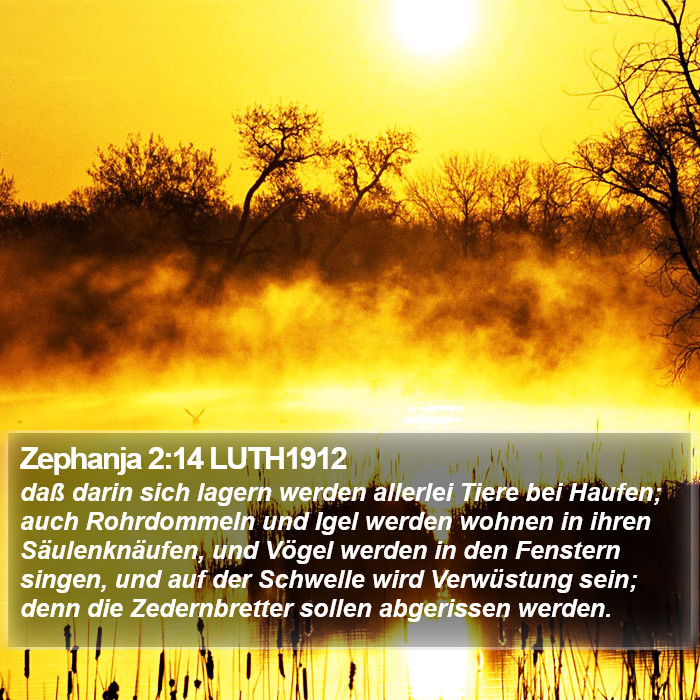 Zephanja 2:14 LUTH1912 Bible Study