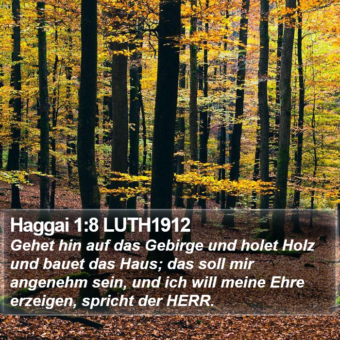 Haggai 1:8 LUTH1912 Bible Study