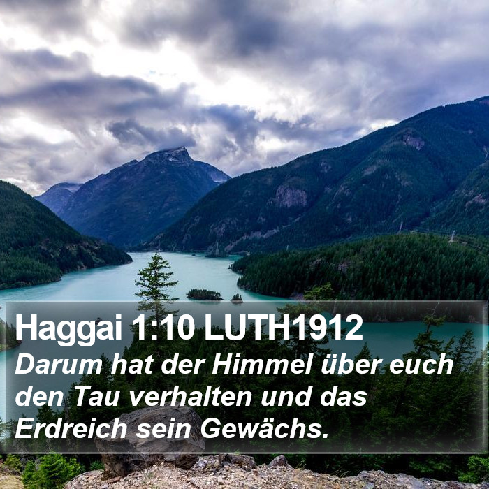 Haggai 1:10 LUTH1912 Bible Study