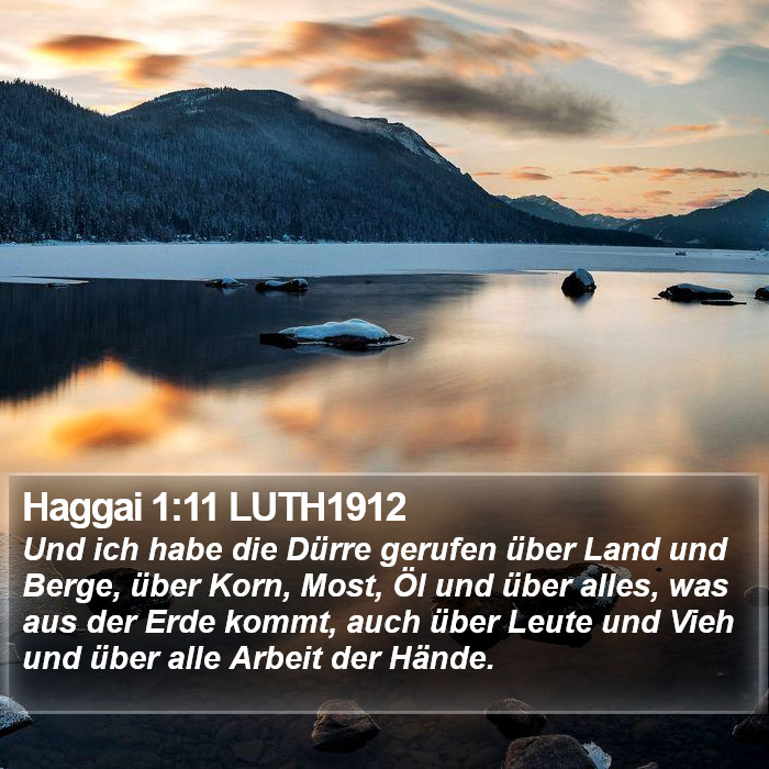 Haggai 1:11 LUTH1912 Bible Study