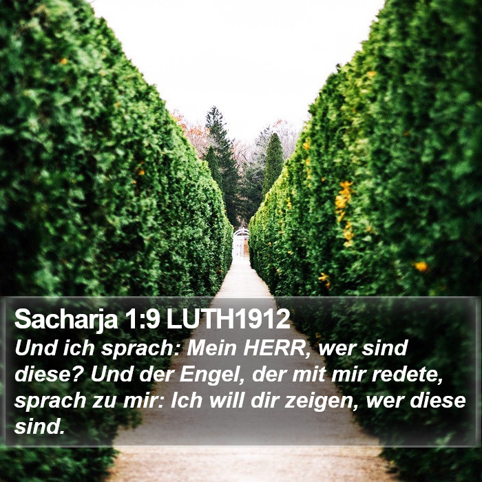 Sacharja 1:9 LUTH1912 Bible Study