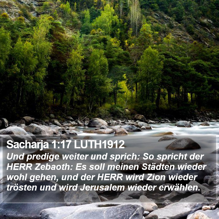 Sacharja 1:17 LUTH1912 Bible Study