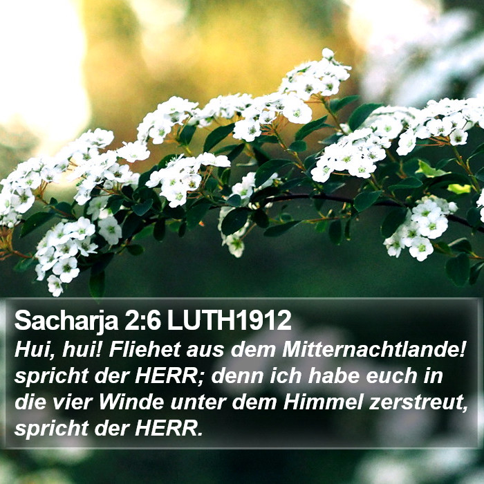 Sacharja 2:6 LUTH1912 Bible Study