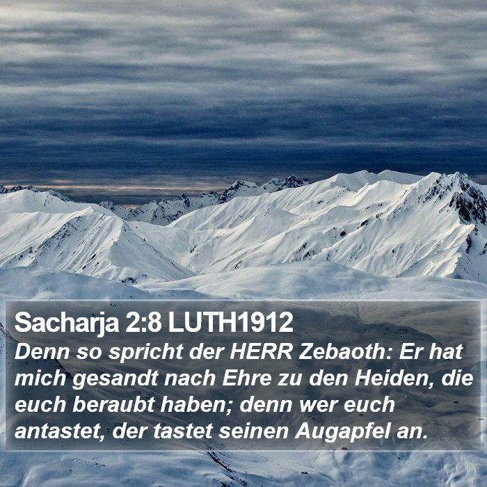 Sacharja 2:8 LUTH1912 Bible Study