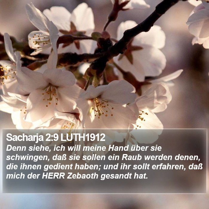 Sacharja 2:9 LUTH1912 Bible Study