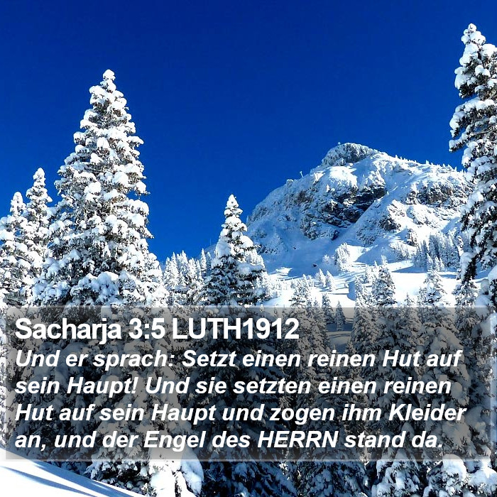 Sacharja 3:5 LUTH1912 Bible Study