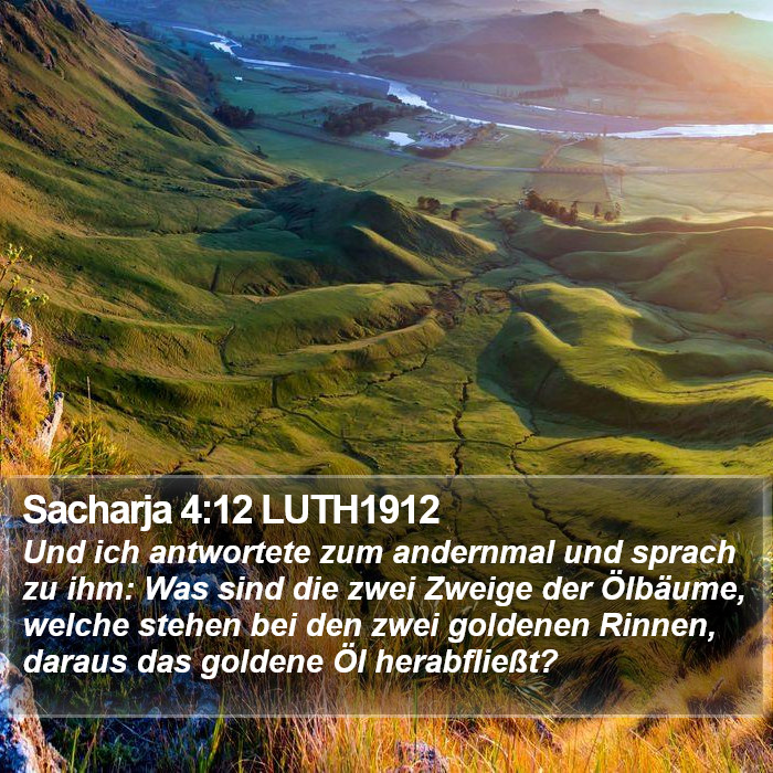 Sacharja 4:12 LUTH1912 Bible Study