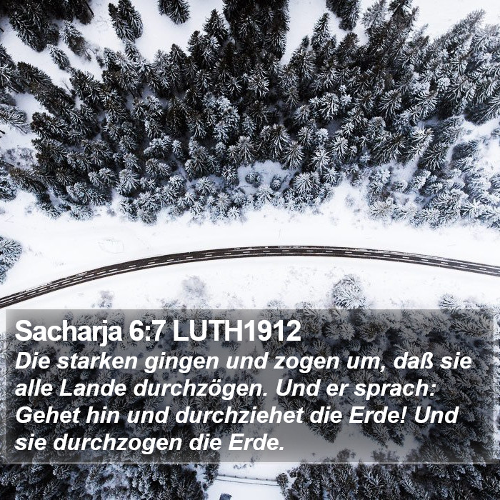 Sacharja 6:7 LUTH1912 Bible Study