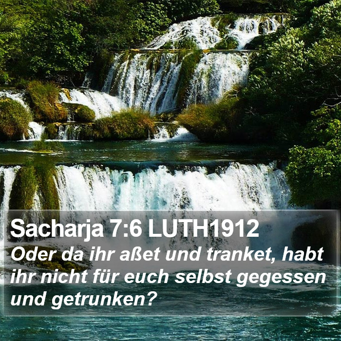 Sacharja 7:6 LUTH1912 Bible Study