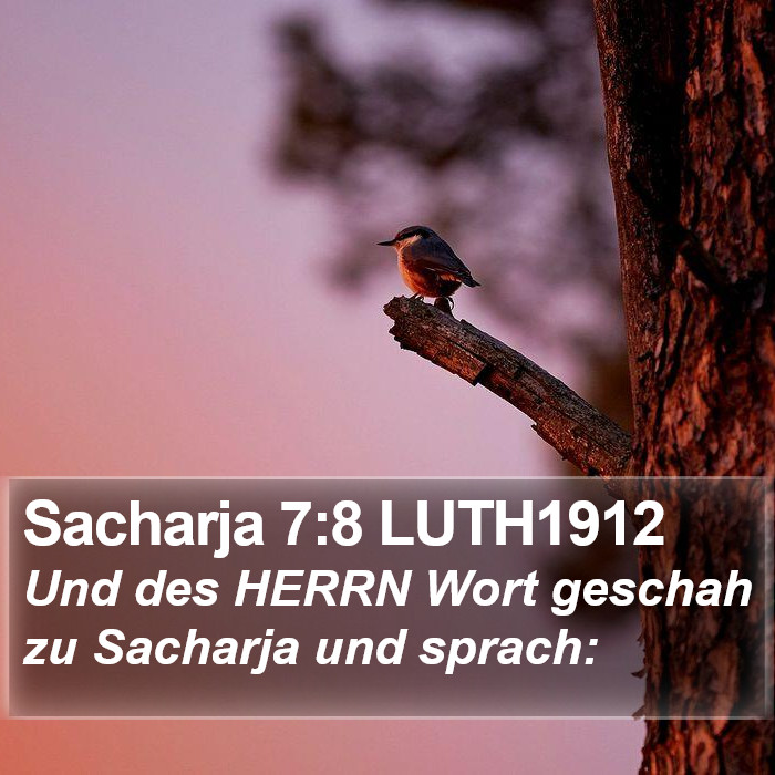 Sacharja 7:8 LUTH1912 Bible Study