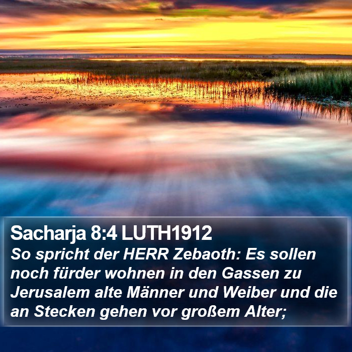 Sacharja 8:4 LUTH1912 Bible Study