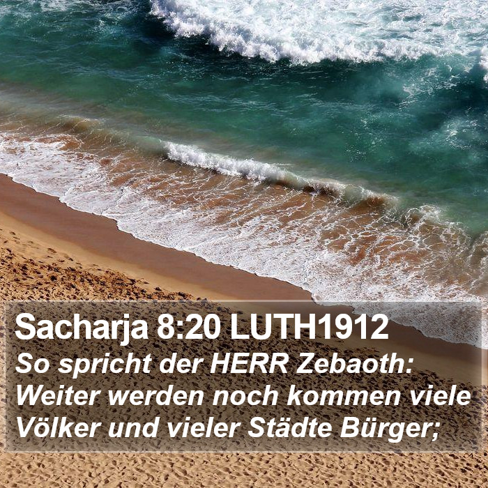 Sacharja 8:20 LUTH1912 Bible Study