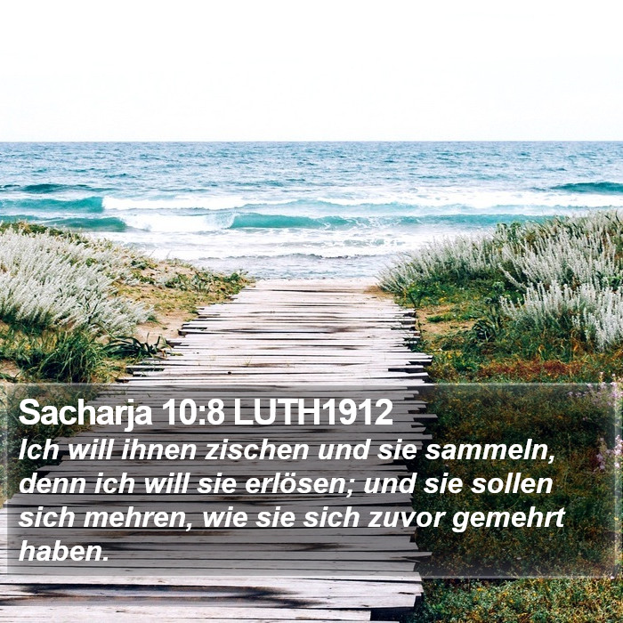 Sacharja 10:8 LUTH1912 Bible Study