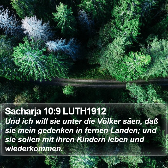 Sacharja 10:9 LUTH1912 Bible Study