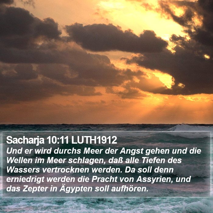 Sacharja 10:11 LUTH1912 Bible Study