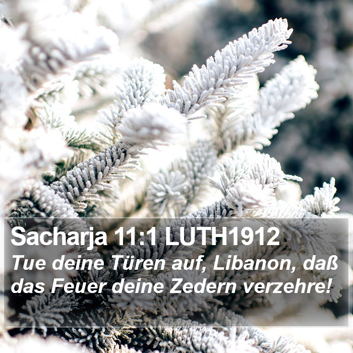 Sacharja 11:1 LUTH1912 Bible Study