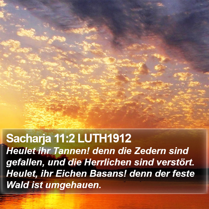 Sacharja 11:2 LUTH1912 Bible Study