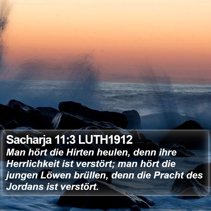 Sacharja 11:3 LUTH1912 Bible Study