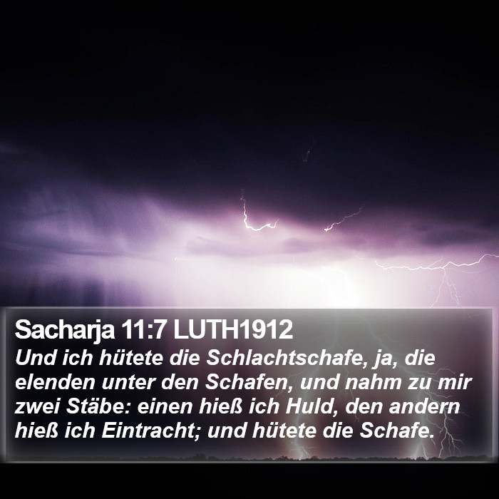 Sacharja 11:7 LUTH1912 Bible Study