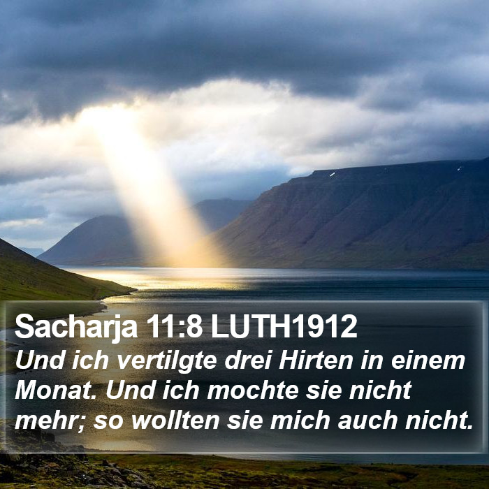 Sacharja 11:8 LUTH1912 Bible Study