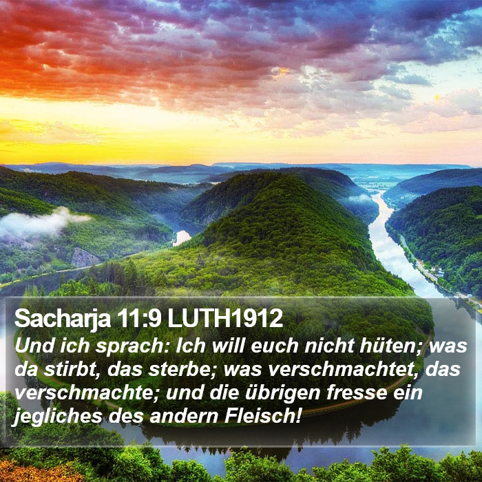 Sacharja 11:9 LUTH1912 Bible Study