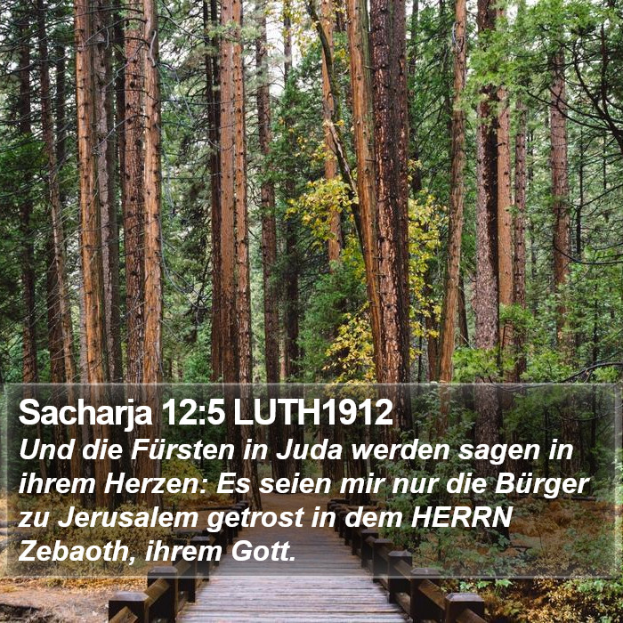 Sacharja 12:5 LUTH1912 Bible Study