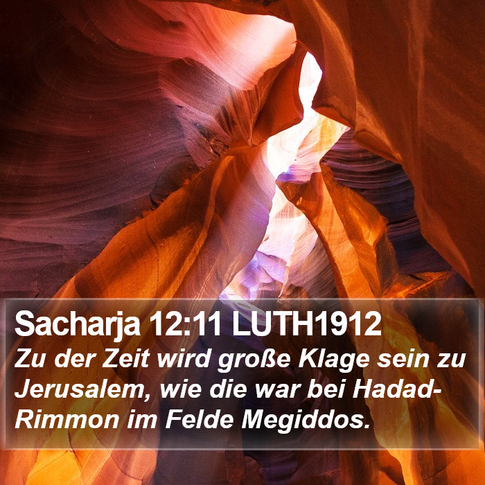 Sacharja 12:11 LUTH1912 Bible Study