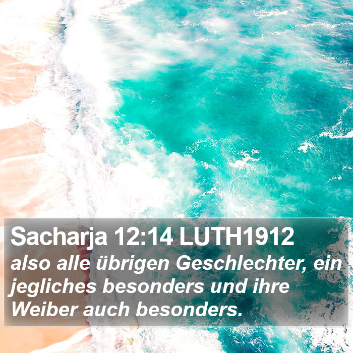 Sacharja 12:14 LUTH1912 Bible Study