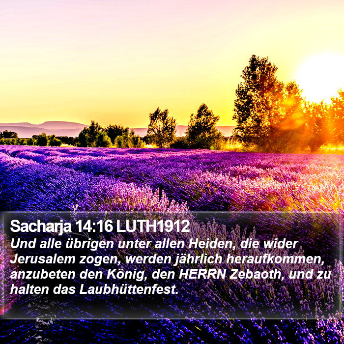 Sacharja 14:16 LUTH1912 Bible Study