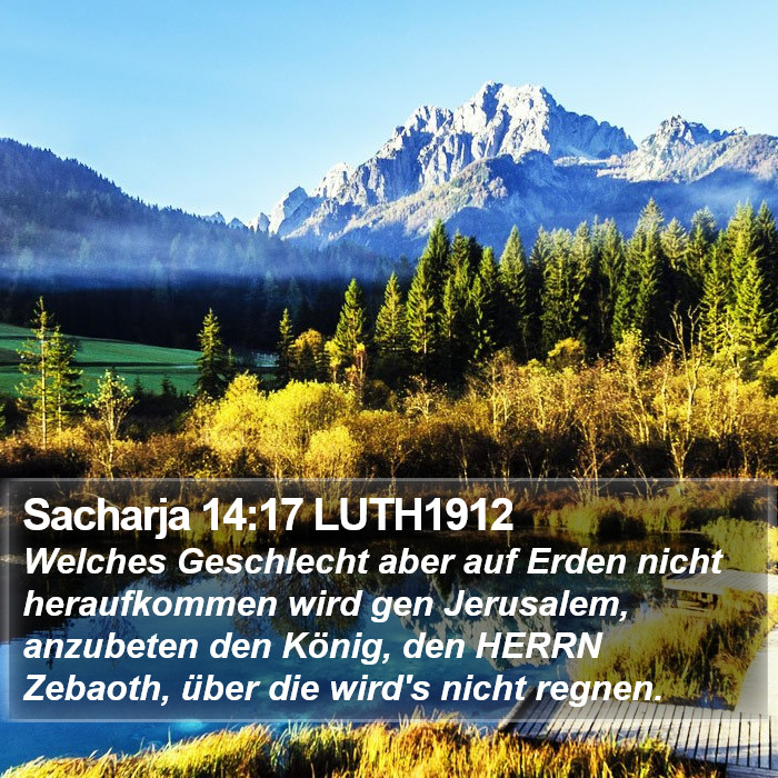 Sacharja 14:17 LUTH1912 Bible Study