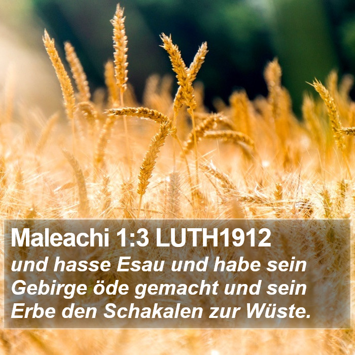 Maleachi 1:3 LUTH1912 Bible Study