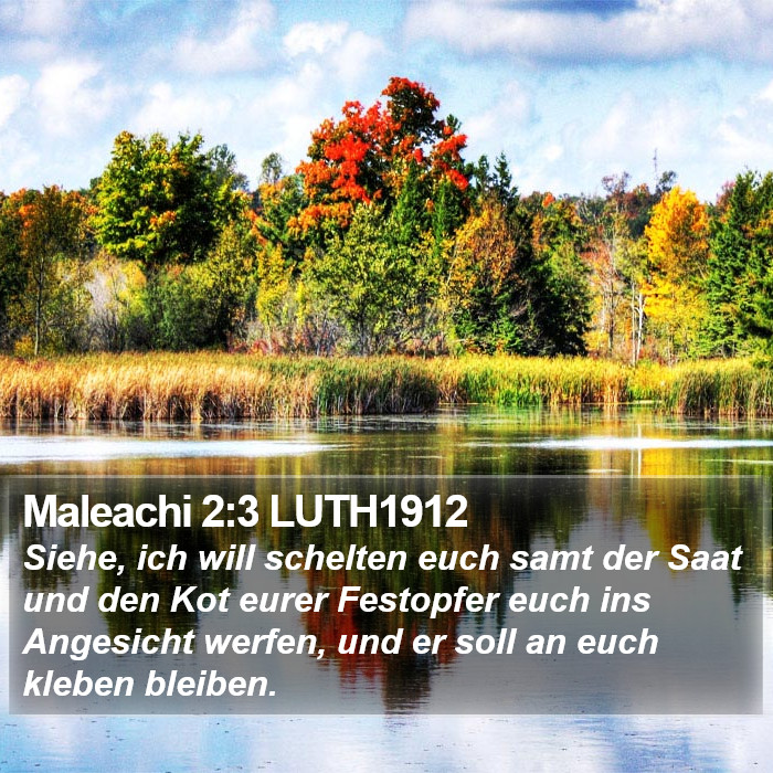 Maleachi 2:3 LUTH1912 Bible Study