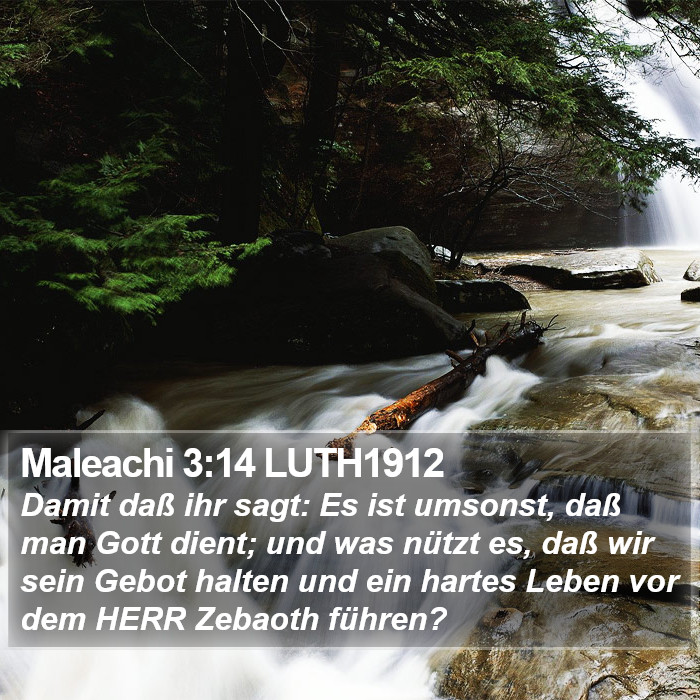 Maleachi 3:14 LUTH1912 Bible Study