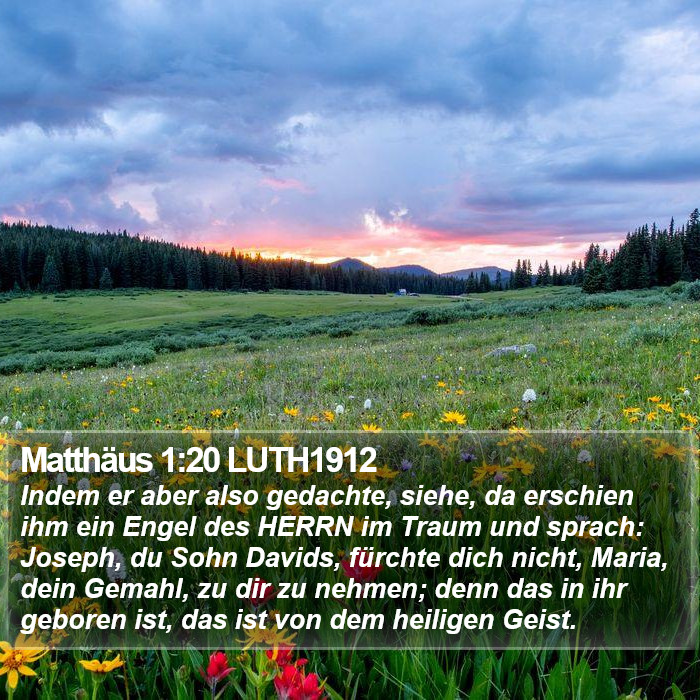 Matthäus 1:20 LUTH1912 Bible Study