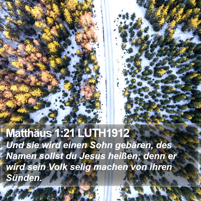 Matthäus 1:21 LUTH1912 Bible Study