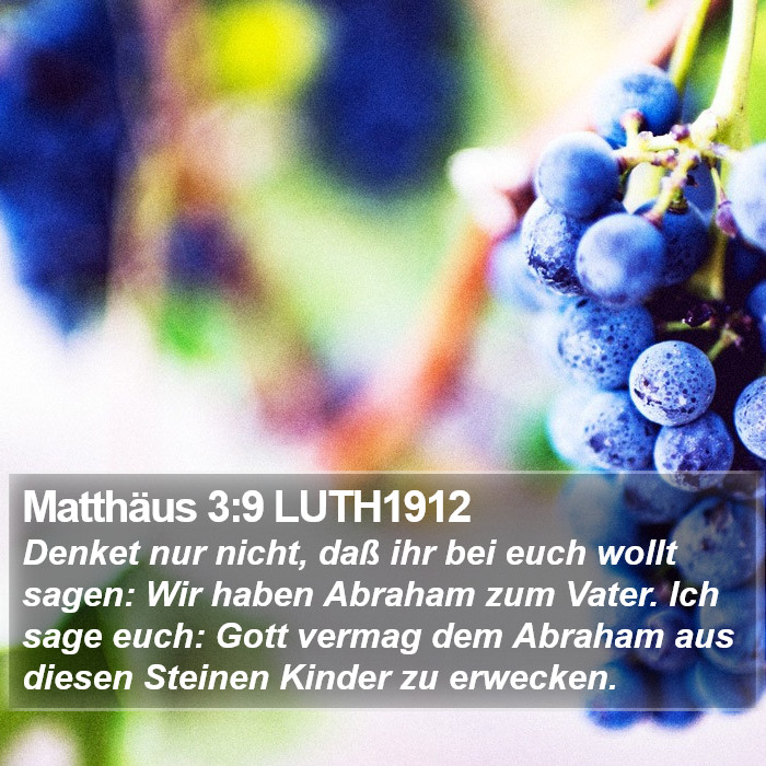 Matthäus 3:9 LUTH1912 Bible Study