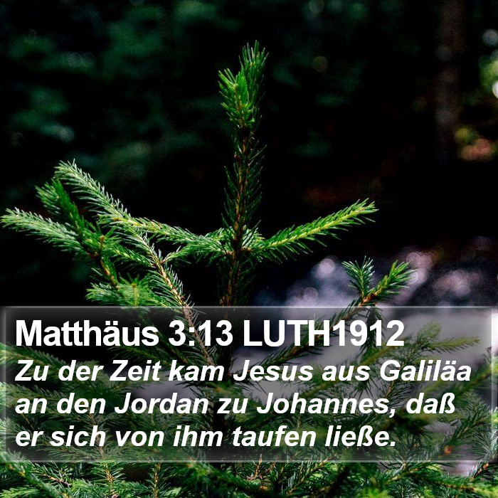Matthäus 3:13 LUTH1912 Bible Study