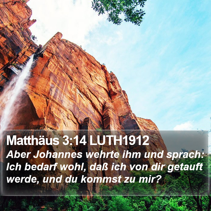 Matthäus 3:14 LUTH1912 Bible Study
