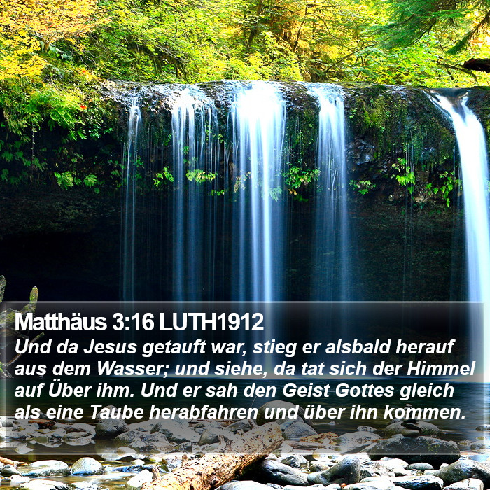 Matthäus 3:16 LUTH1912 Bible Study