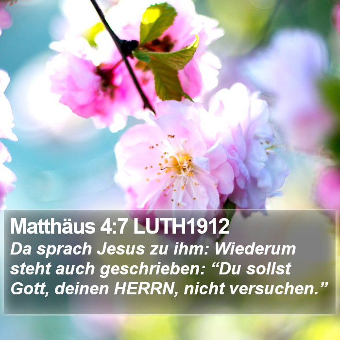 Matthäus 4:7 LUTH1912 Bible Study