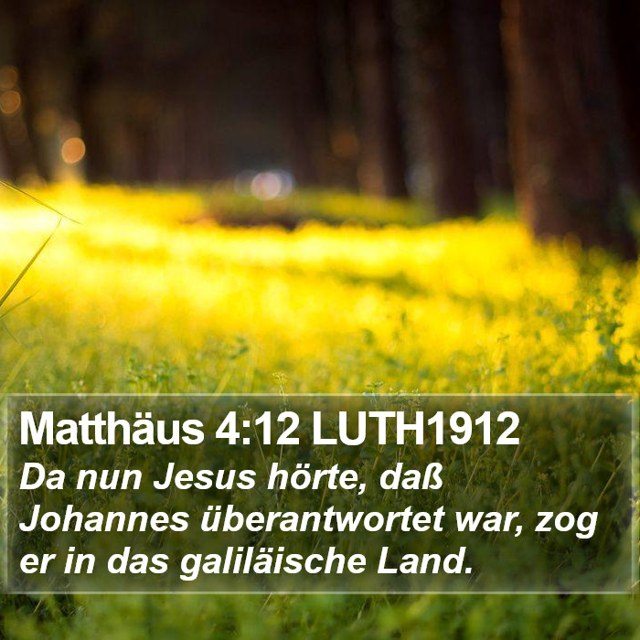 Matthäus 4:12 LUTH1912 Bible Study