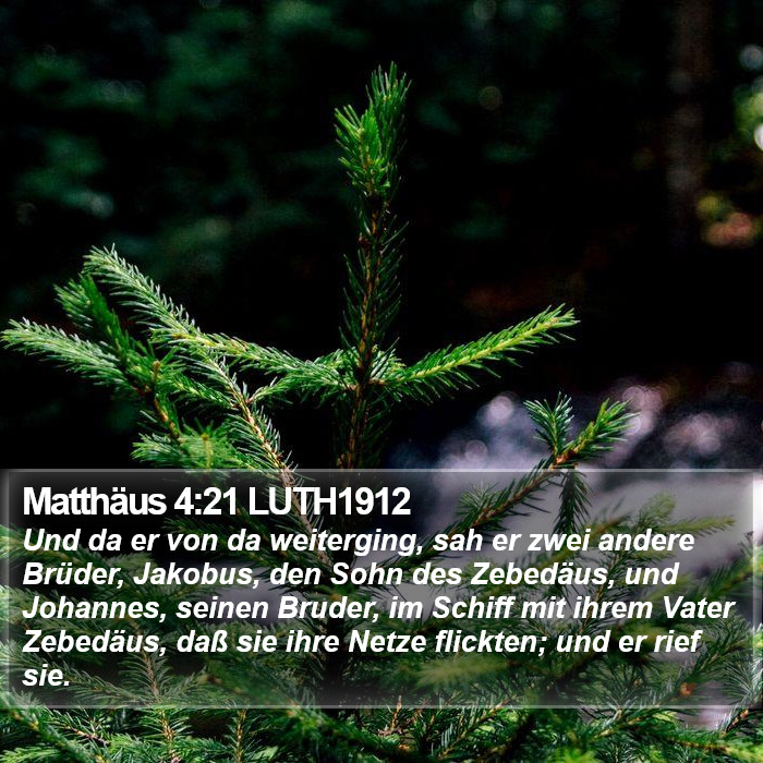 Matthäus 4:21 LUTH1912 Bible Study