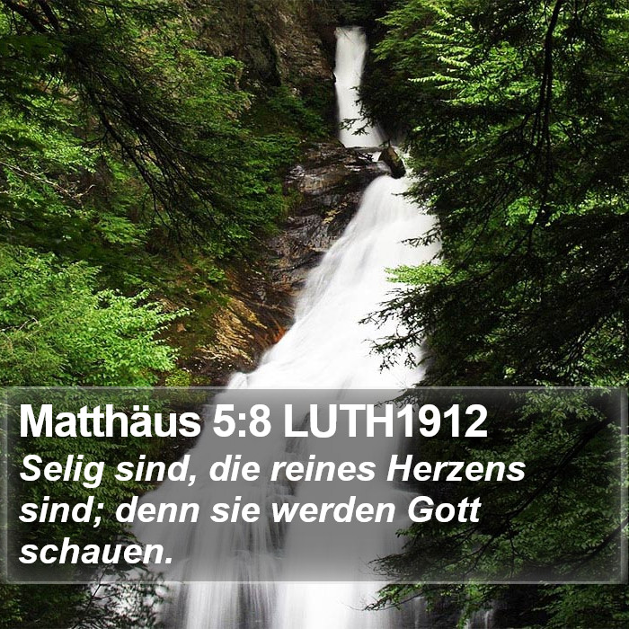 Matthäus 5:8 LUTH1912 Bible Study