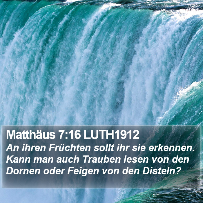 Matthäus 7:16 LUTH1912 Bible Study