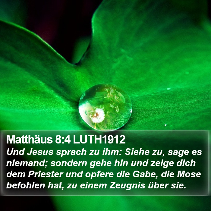 Matthäus 8:4 LUTH1912 Bible Study