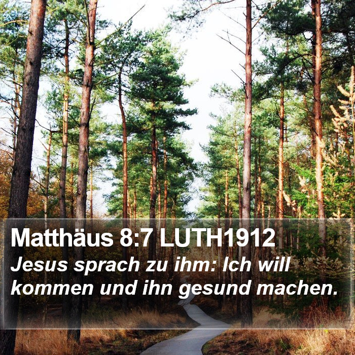 Matthäus 8:7 LUTH1912 Bible Study