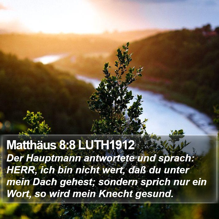 Matthäus 8:8 LUTH1912 Bible Study