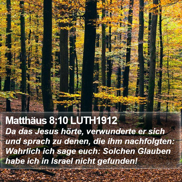 Matthäus 8:10 LUTH1912 Bible Study